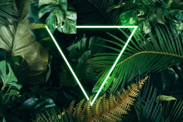 Peinture murale Triangle Vert et Jungle