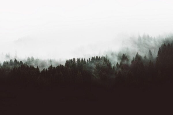 Peinture murale Paysage maussade avec brouillard