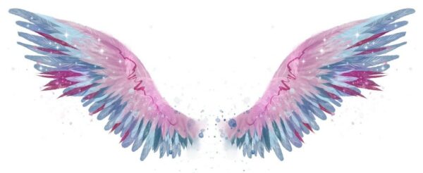 Peinture murale Ailes rose-bleu