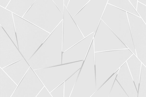 Peinture murale Motif blanc