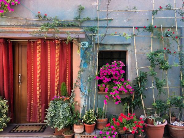 Sticker mural Parterre de fleurs