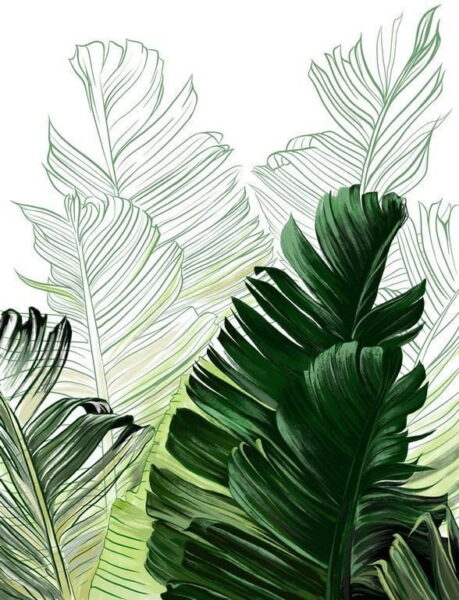 Peinture murale Feuilles de bananier peintes