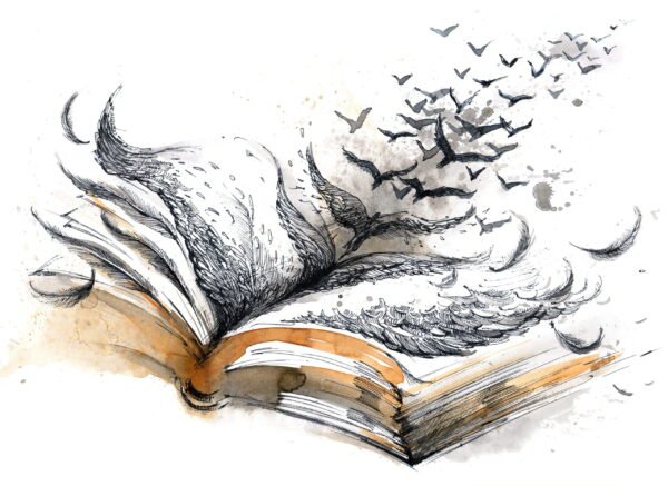 Image d'oiseaux et livre – Image 2