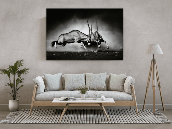 Lutte pour la domination – Image 3