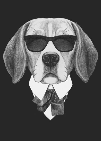 Image d'un chien en costume – Image 2