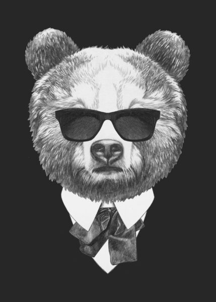 Photo d'ours en peluche dans des verres – Image 2