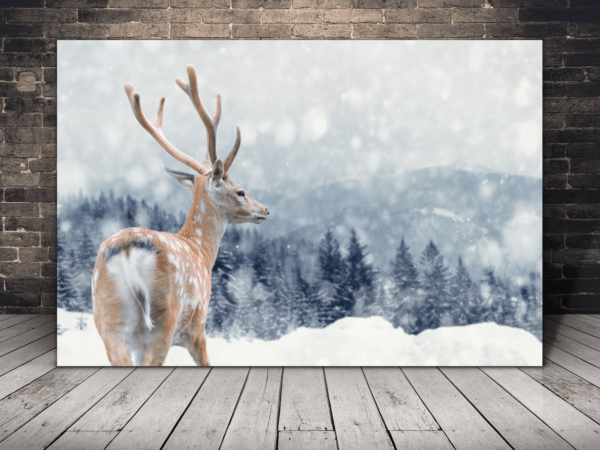 Une image d'un renne sur la neige