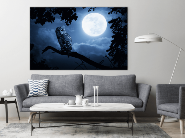 L'image du hibou et de la lune – Image 3