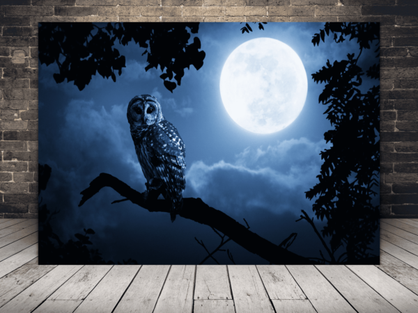 L'image du hibou et de la lune