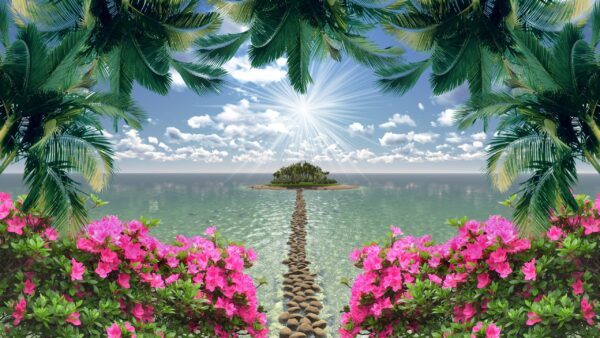 Image de l'île paradisiaque – Image 2