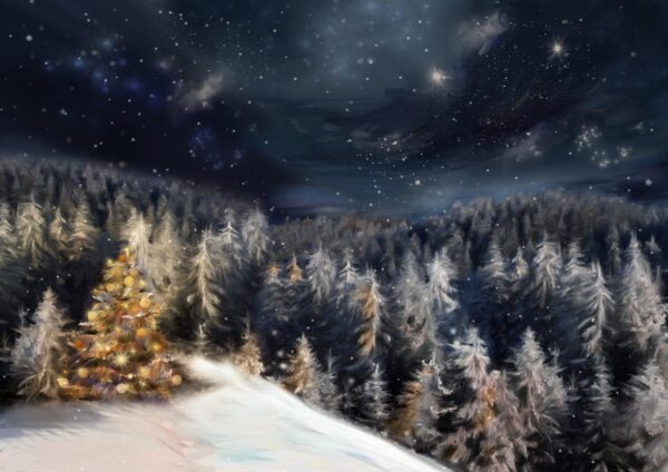 Image d'une forêt d'hiver – Image 2