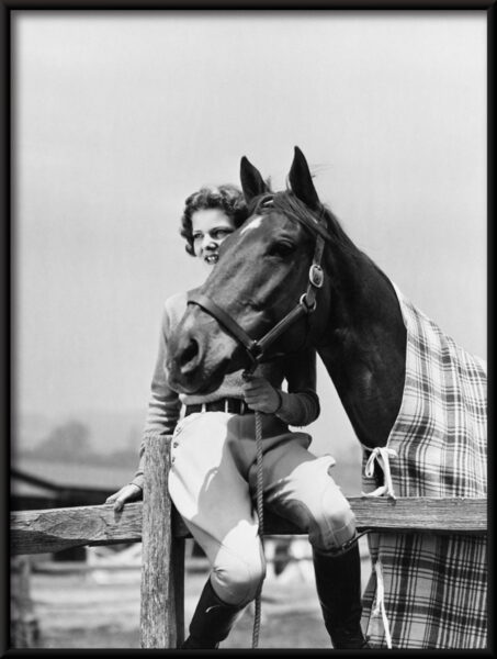 Fille avec une affiche de cheval – Image 2