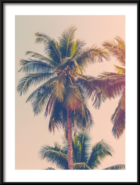 Cocotier Poster – Image 3