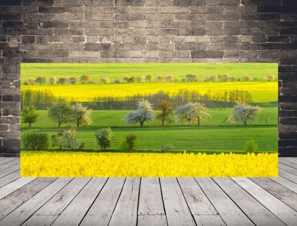 Image de couleurs de printemps
