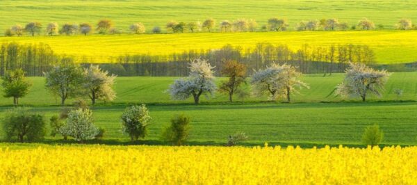 Image de couleurs de printemps – Image 3