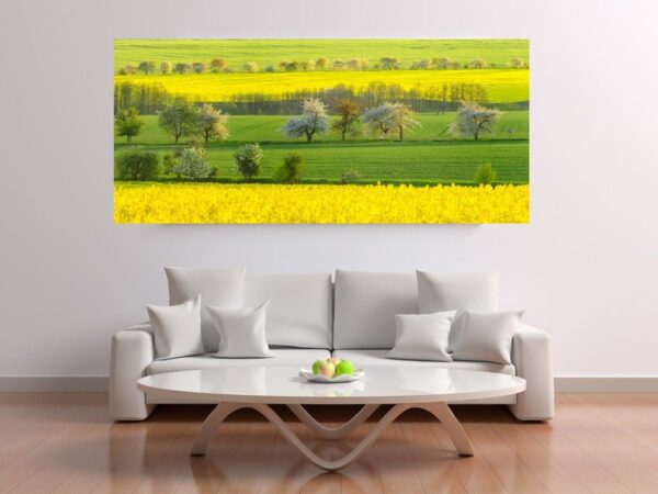 Image de couleurs de printemps – Image 2
