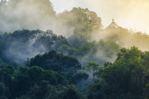 Papier peint Parc national en Thaïlande
