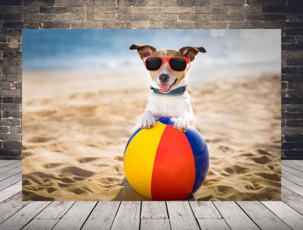 Une image d'un chien en vacances