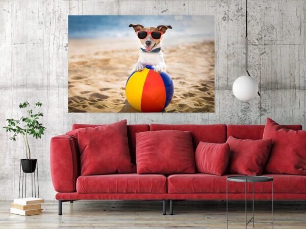 Une image d'un chien en vacances – Image 2