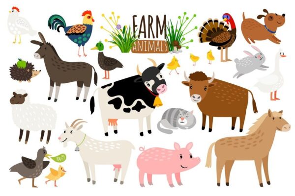 Peinture murale Animaux de la ferme