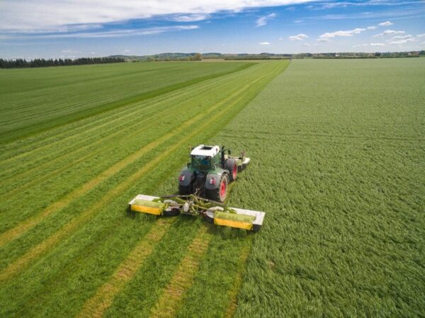 Peinture murale Tracteur dans le pré