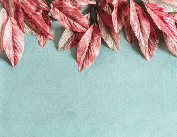 Sticker mural Feuilles roses