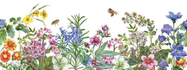 Sticker mural Fleurs sauvages