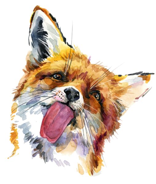 Une image d'un portrait d'un renard – Image 2