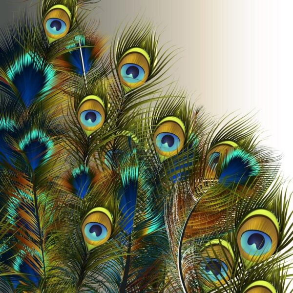 Peinture murale Yeux de paon