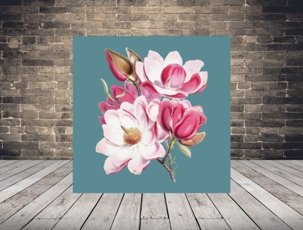 Une image de magnolias roses
