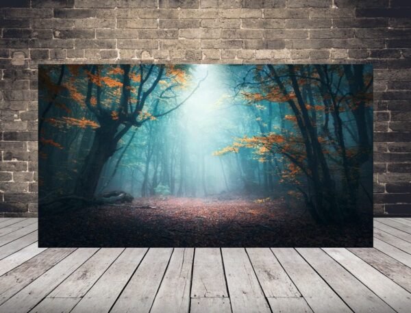 Image lueur de la forêt