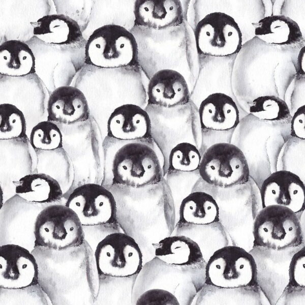 Poster XXL Famille de pingouins