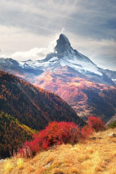 Peinture murale Pente de la montagne en automne