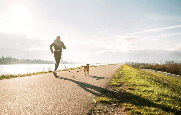Peinture murale Jogging avec un chien