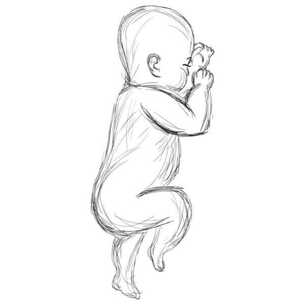 Une image d'un bébé qui dort – Image 3