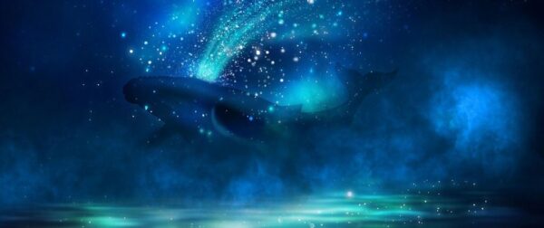 Peinture murale Baleine et étoiles