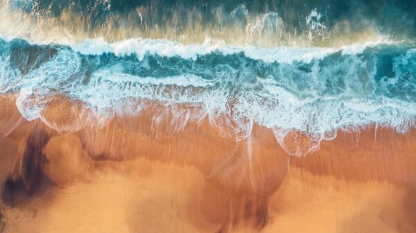 Peinture murale Plage et Vagues