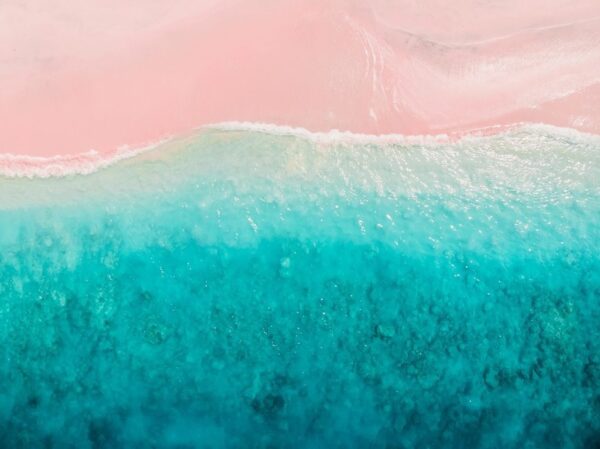 Peinture murale Plage rose et eau de mer