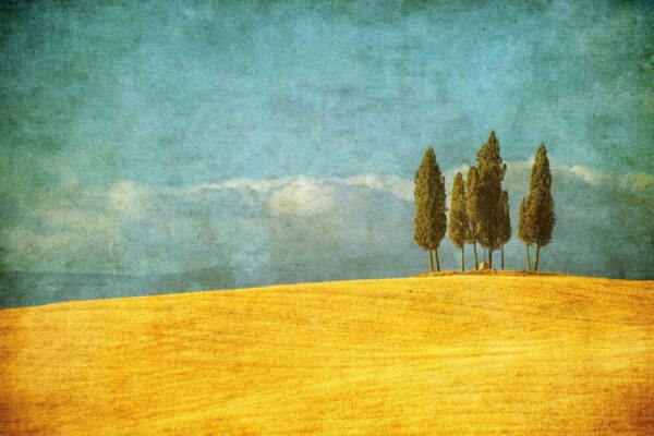 Peinture murale Paysage dans un style vintage