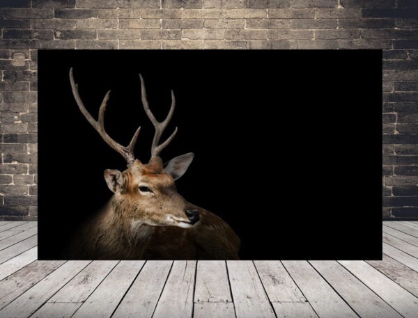 Image d'un beau cerf
