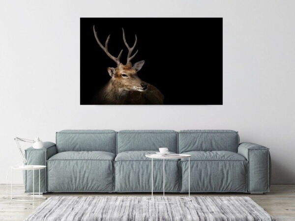 Image d'un beau cerf – Image 2