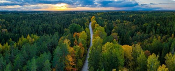 Poster XXL Le début de l'automne