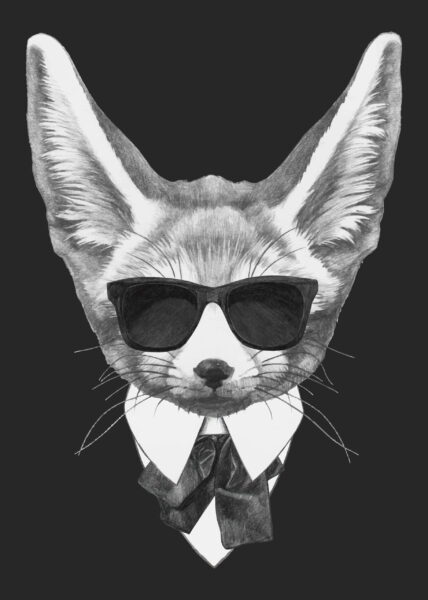 Image d'un renard portant des lunettes – Image 2