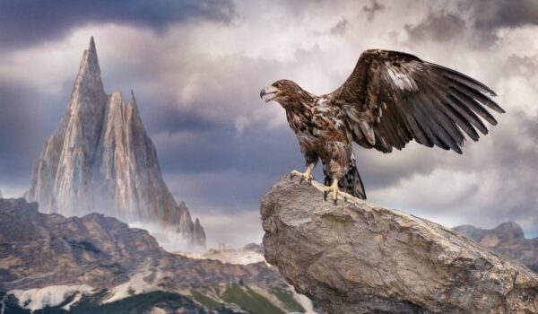 Poster XXL Aigle sur le Rocher