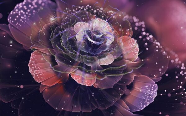 Image rose brillante – Image 3