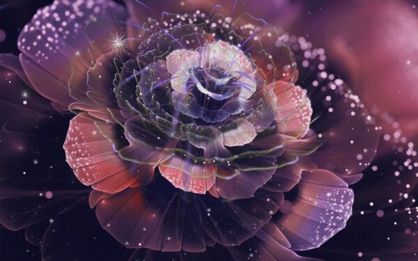 Poster XXL Rose Brillante