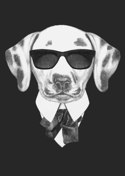 Image d'un dalmatien avec des lunettes – Image 2