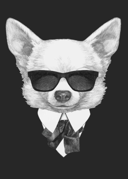 Image d'un chien en costume – Image 2
