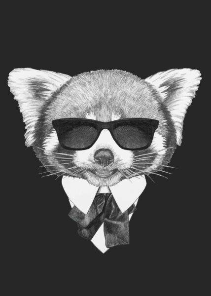 Image d'un panda roux avec des lunettes – Image 2