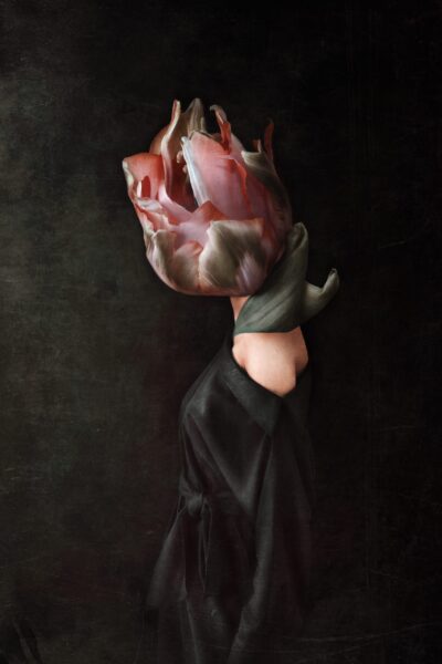 Une image d'une femme tulipe – Image 2
